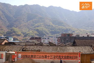 龙岩的野人事件调查