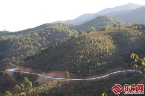 龙岩 守护绿水青山 生命线 铺就绿色发展 幸福路
