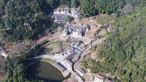 龙岩过大年 曹溪科桃焕然一新迎新年