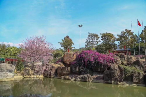 来新罗过年吧 四大新春旅游线路,给你安排得明明白白