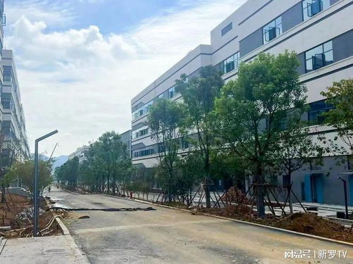 再奋进再加力 重大项目建设全力推进