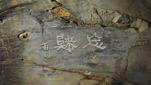 听说满眼翠绿的龙岩新罗藏着几条 中国龙 ,新春假期不去看看讨个好彩头