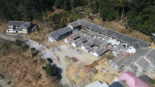 龙岩过大年 曹溪科桃焕然一新迎新年