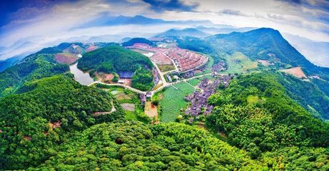 【奋进五年看龙岩】60张图看遍新罗最美乡村,哪个才是你的想念!_旅游_网