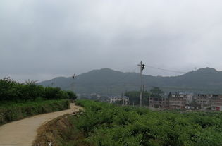 国网福建省电力