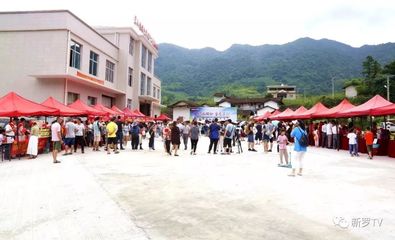 2019年龙岩市新罗区龙硿洞文化旅游节暨芙蓉李采摘节隆重举行