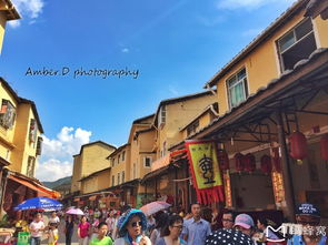 五只豆丁去旅行 福建龙岩 永定土楼 新罗市区 长汀古城 长汀博物馆 丁黄村 培田古居 古田会址