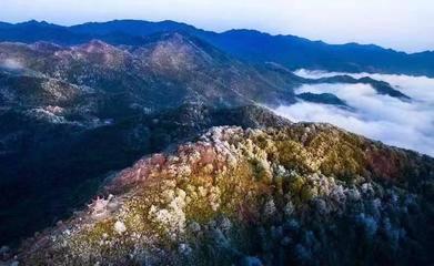 十年巨变!龙岩走上“生态美”“百姓富”的良性循环之路