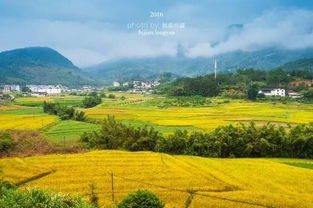 温情似水温润如玉的古村落 白沙