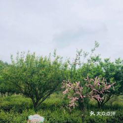电话,地址,价格,营业时间 龙岩周边游