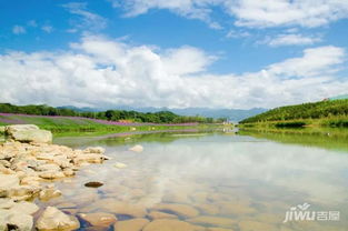 龙岩绿色封面紫金山 百亩花海正盛开 动态 吉屋网