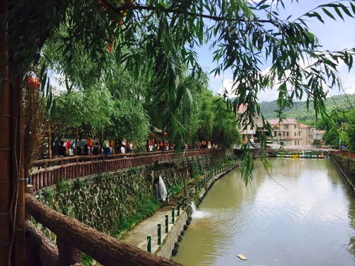 6月23 24日特价138元,漂流特价周来啦 九溪庐国际漂流 森林公园3d画 培斜美丽乡村一日游