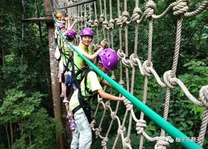 199元▼ 九溪庐漂流 网红桥 桃李采摘节 森林公园1日游 7月密集发团