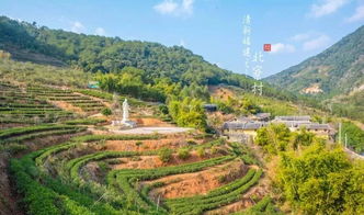 不到假期别点开 这些好地方,千万不要再错过了