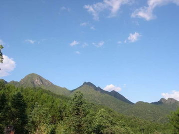 龙岩云顶茶园 新罗生态旅游的绿色明珠