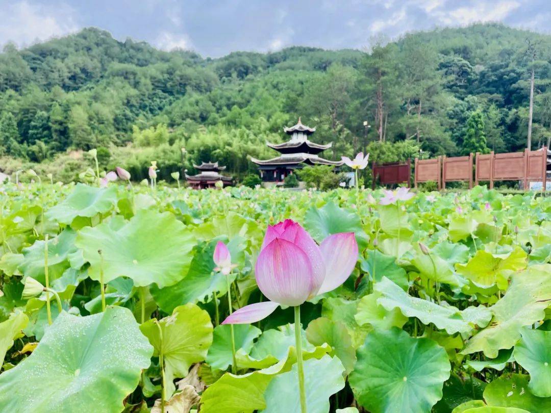 走进新罗，寻觅藏在山城的夏