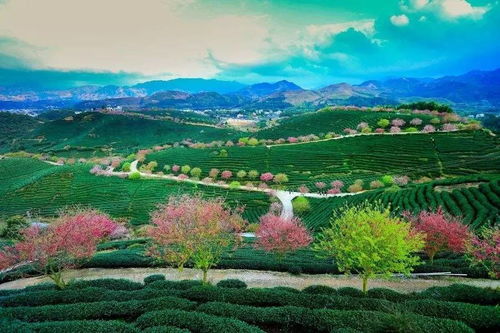 阳春三月，福建龙岩新罗旅游热潮来袭