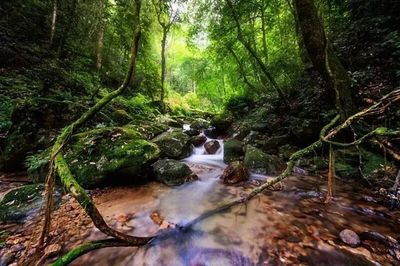 毛竹“撩”出来的淘宝村——探访龙岩市新罗区小池镇培斜村