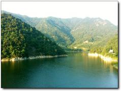 龙岩新罗江山下里洋农庄全攻略 窝棚周边游的山水田园画卷