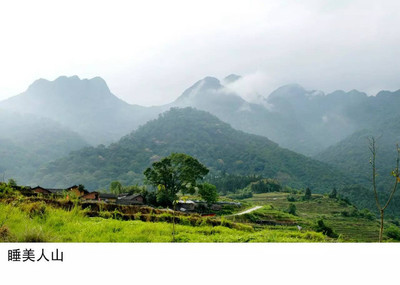 龙岩新罗 省级美丽乡村示范户闪耀，13个村庄成旅游新名片