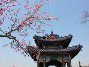 闽西明珠，山水画卷——龙岩特色旅游景点全览