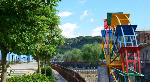 走红村·学党史 新罗红色乡村旅游推荐之小池篇