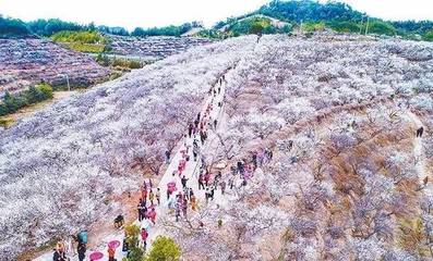 湖洋镇一村入选龙岩乡村旅游试点村，新罗旅游再添新名片